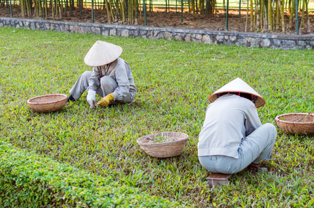 Gardener asian woman worked in a garden, Vietnamの写真素材