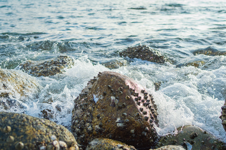 A wave of water refreshing a stone in the beach in a sunny day.の写真素材