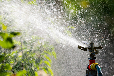 Automatic Garden Lawn sprinkler in action watering grass. Green Nature Background concept.の写真素材