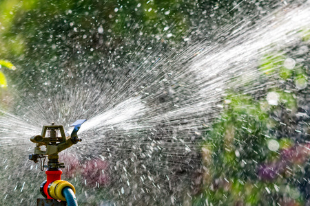 Automatic Garden Lawn sprinkler in action watering grass. Green Nature Background concept.の写真素材