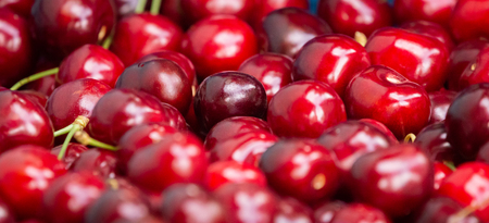 Close up of pile of ripe cherries with stalks and leaves. Large collection of fresh red cherries. Ripe cherries background.の写真素材