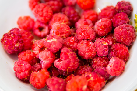 Red fresh raspberries in white bowl, closeup