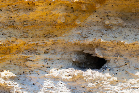 Big bird hole nest in a sandstone cliff. Bird nesting place.の写真素材