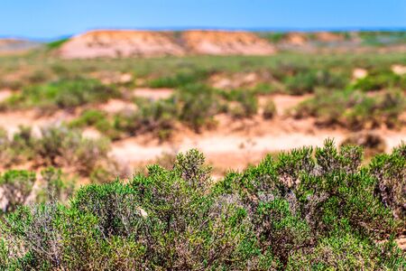 Landscape with dry cracked takir soil in semi-desert in Russiaの写真素材