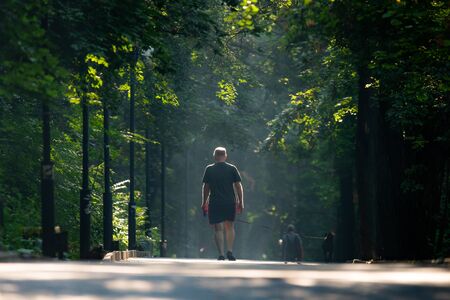 Walkway Lane Path With Green Trees in city park. Beautiful Alley In Park.の写真素材