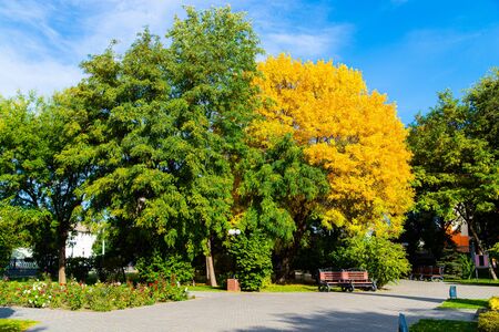 City park in autumn. Calm in big city lifeの写真素材