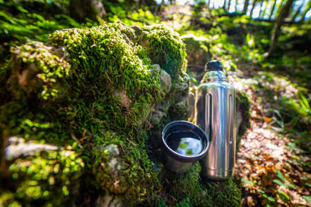 and cup  hot tea. Picnic on mossy log in forest. Leisure concept.の写真素材