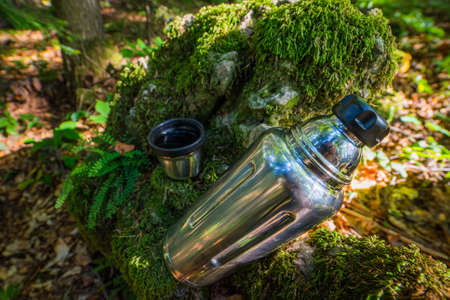 cup  hot tea. Picnic on mossy log in forest. Leisure concept.の写真素材