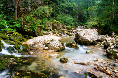 River deep in mountain forest. Nature composition.