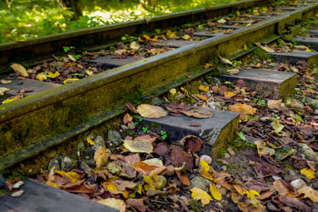 Low angle view of small railway tracks in mountain region with shallow depth of field.の写真素材