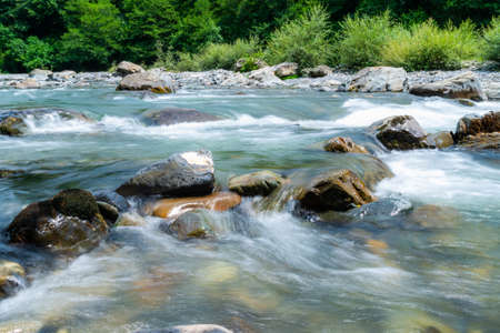 Mountain river flowing at summer forest landscape.の写真素材