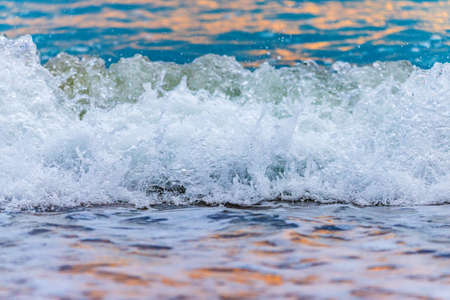Seashore on stone beach. Close up view