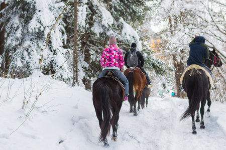 Four riders on horses walk through snowy forest.