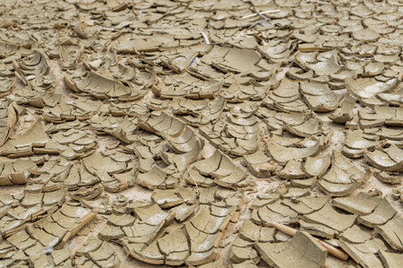 Barren earth. Dry cracked earth background. Cracked mud pattern. Soil In cracks.Drought land. Environment drought texture. Concept.の写真素材