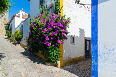 Cozy narrow streets of old town Obidos, Portugal.の写真素材