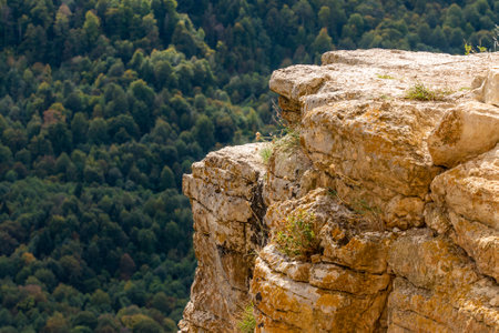 Cliff Eagle shelf, Mezmay village, Krasnodar region.の写真素材
