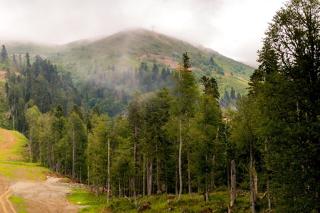 Curvy dirt road down a mountain side or slope.