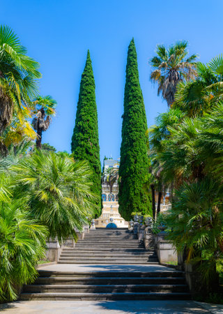 Stairway and alley in a city park for walking.の写真素材