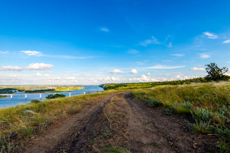 Dirt road in the steppe between feather fields grass, blue sky with white clouds in the background.の写真素材