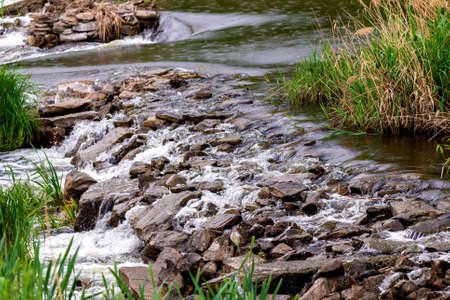 Forest spring or river flow landscape, calm nature background.