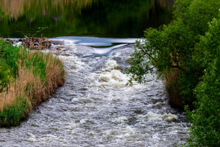 Rapids in forest wild river. Natural backgroundの写真素材