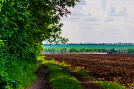 Row of trees along farm dirt road besides plowed field.の写真素材
