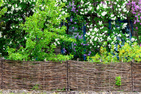 Wood wicker fence from curved wooden twigs. Wooden fence. Landscape design conceptの写真素材