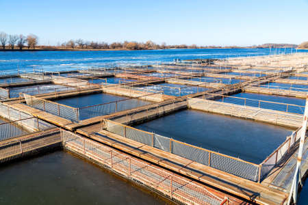 Cages for fish farming in the natural river.の写真素材