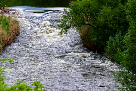 Rapids in forest wild river. Natural backgroundの写真素材