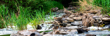 Forest spring or river flow landscape, calm nature background.の写真素材