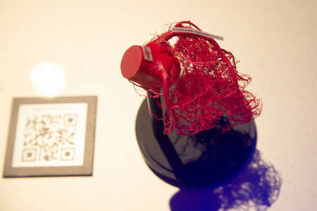Russia, Moscow, 2021 May 31: Human Anatomy Exhibition by Gunther von Hagens. The anatomist invented the technique for preserving biological tissue specimens called plastination.のeditorial素材