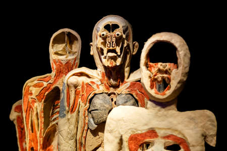 Russia, Moscow, 2021 May 31: Human Anatomy Exhibition by Gunther von Hagens. The anatomist invented the technique for preserving biological tissue specimens called plastination.のeditorial素材