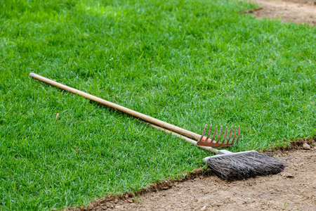 Tools, rake and broom on the lawn for cleaning city.