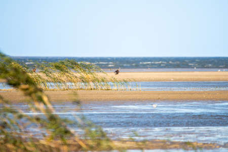 Sand coast in windy day. Autumn time at sea place.の写真素材