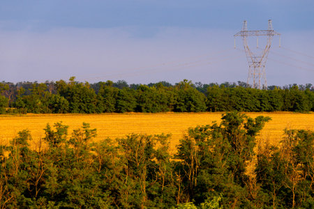 High voltage lines and power pylons in a flat and green agricultural landscape.の写真素材