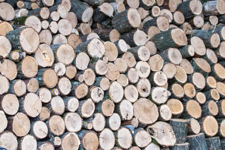 Wood pile reserve for the winter. Pile of chopped firewood. background texture wood. wood chips.の写真素材