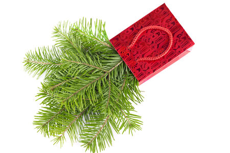 Fir-tree twigs in red paper-bag isolated on whiteの写真素材