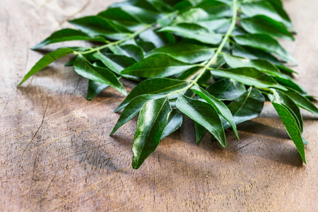 Fresh curry leaves on wooden background top view with copy space. Indian spices.の写真素材