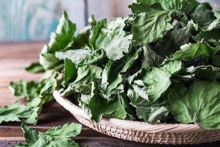 Dry blackcurrant leaves in a wicker bowl on wooden background close-up with copyspace. Herbal tea.