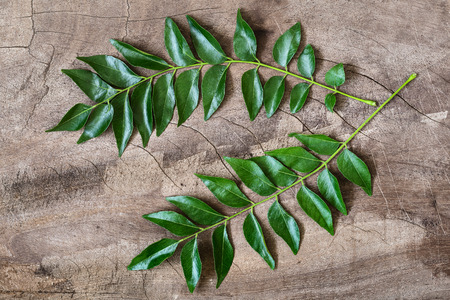 Fresh curry leaves on wooden background top view with copy spaceの写真素材