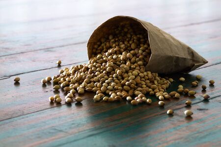 Organic Dried coriander seeds (Coriandrum sativum) in paper sack bag on colored rustic background. Healthy eating, Indian spice, flavoring, vitamin.の写真素材