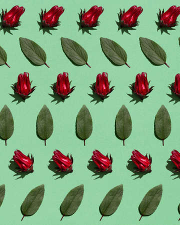 Pattern of fresh hibiscus flower and leaves on pastel green paper background. Minimal flat lay food texture. Hard light.の写真素材