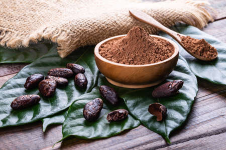 Cocoa powder in wooden bowl with whole dry cacao beans and original fresh leaves on old rustic table. Natural antioxidant, dessert.の写真素材