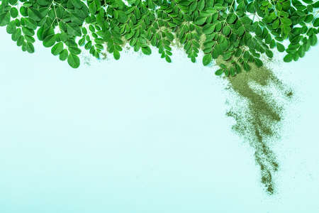 Original fresh Moringa leaves and moringa powder (Moringa Oleifera) on blue paper background top view copyspace. Healthy product, superfood, vitamin, herbal tea, alternative medicine.の写真素材