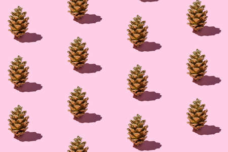 Trendy Christmas and New year pattern made with handmade golden pine cones on bright light pink background.の写真素材