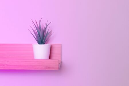 Potted green plant in white flowerpot on wooden shelf on a pink wall with copy space, modern trendy neon pink tone.の写真素材