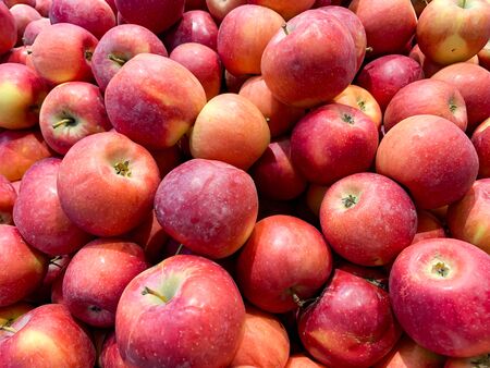 Many beautiful fresh juicy red apples in a box in a supermarket as a background.