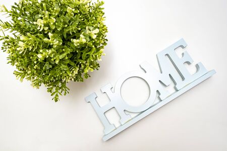 Green potted plant and a sign home on white background, eco friendly home concept.の写真素材
