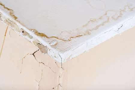 Rain water leaks on the ceiling because of damaged roof causing decay, peeling paint and moldy.