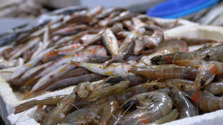 Showcase with Crayfish in the Ice of the Street Marketの写真素材